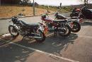 Sherburn meet
