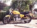 Steve Cooper's 'Yellow Bellow'........